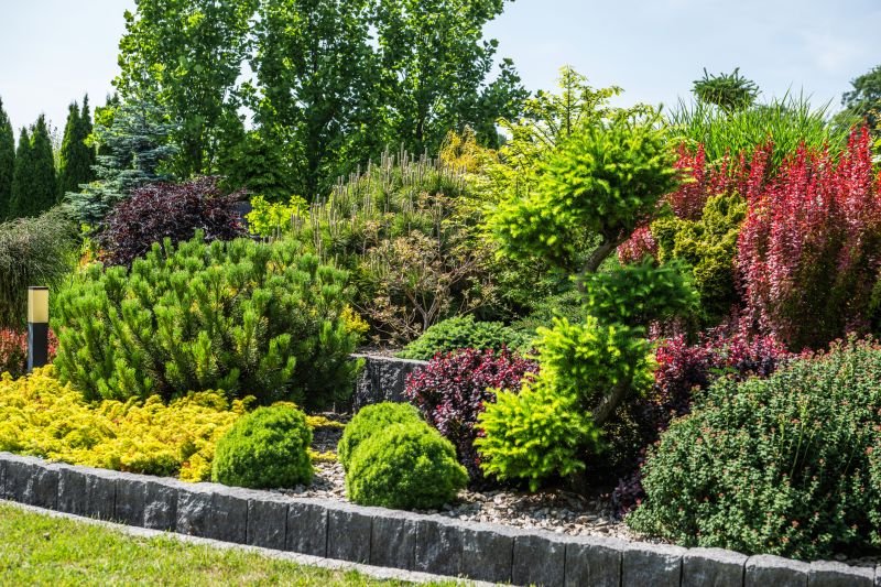 Dryscape Landscaping in Ventura County, CA