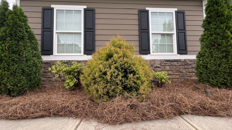 Hedge Planting in Ventura County, CA
