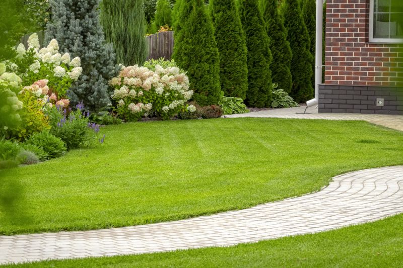 Landscape Remodeling in Ventura County, CA