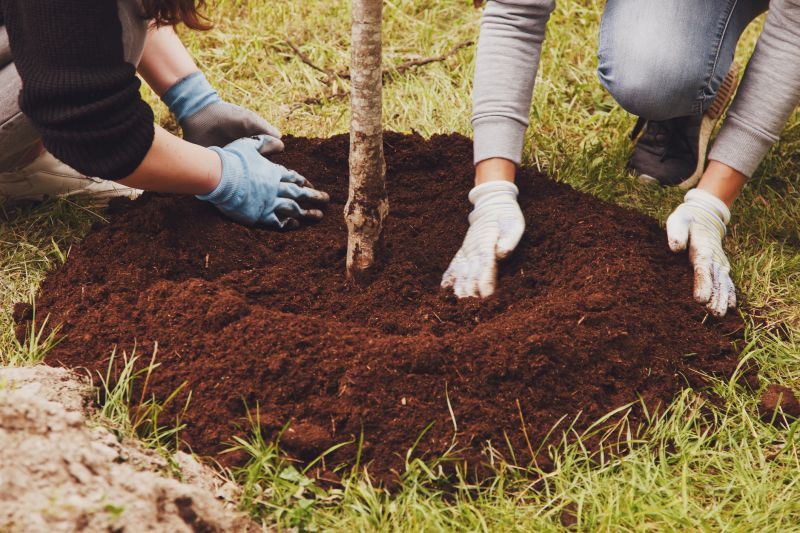 Orchard Planting in Honolulu, HI