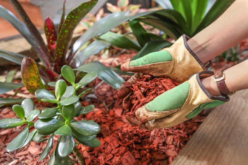 Shredded Mulch Service in Honolulu, HI