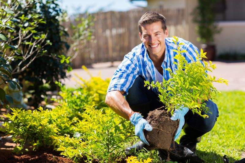 Shrub Planting Service in Ventura County, CA