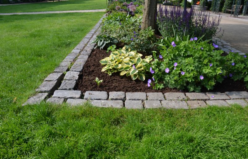 Tree Edging Installation in Citrus County, FL